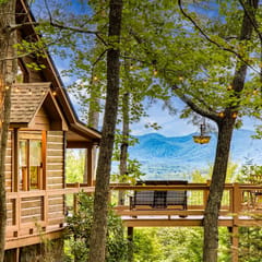 Blue Ridge Tradition -View, location, dog friendly