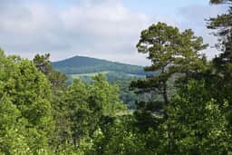 Hayden's Hideaway